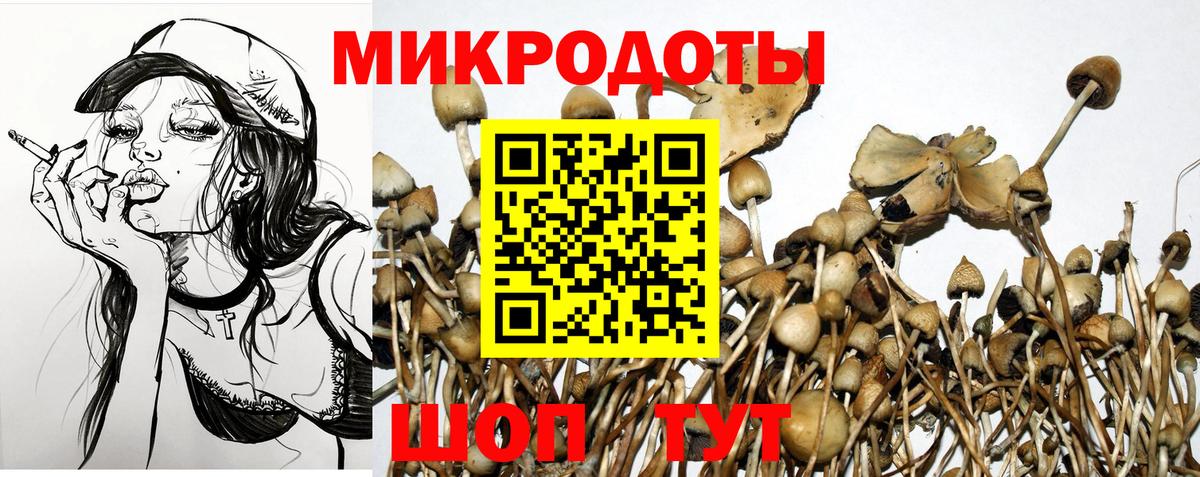 Галлюциногенные грибы Magic Shrooms Бирск